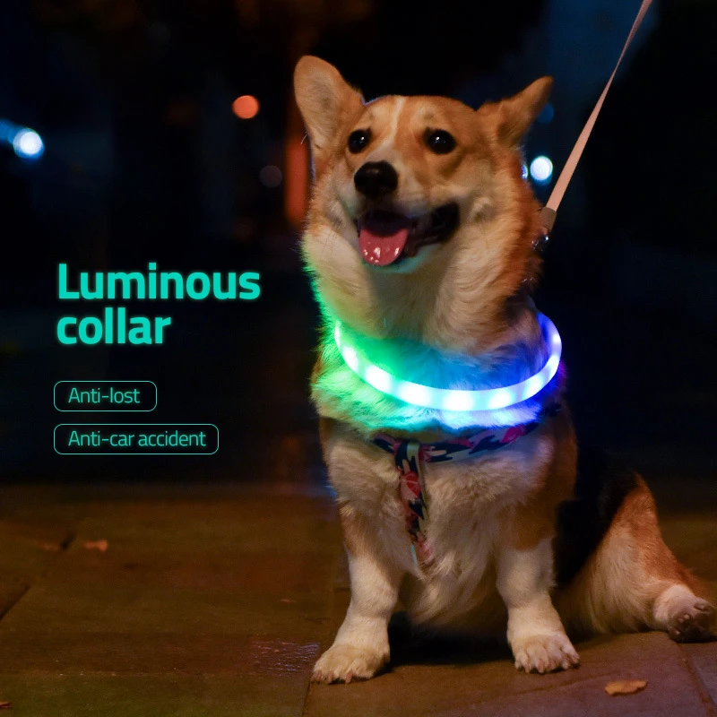 

Custom Pet Accessories Supplies Personalized Led Rechargable Small Fashion Silicone Pet Collars For Dogs