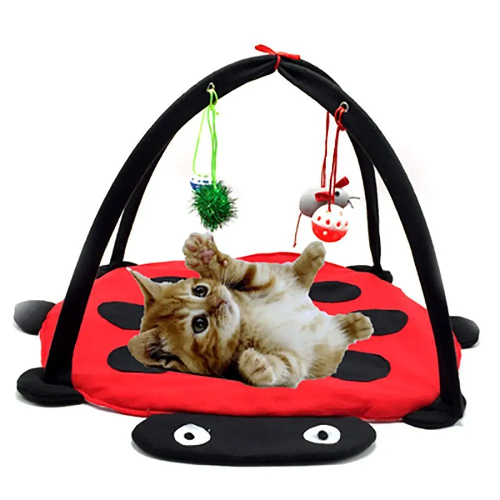 

low price funny pet toy canvas cat climbing beetle shape tent toy for pet cat