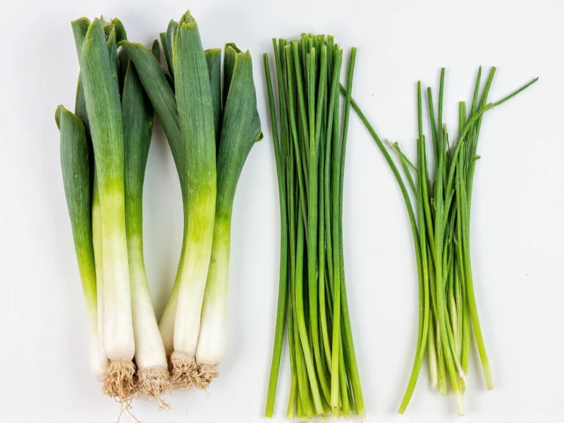 Green Onions vs Chives: Clear Differences Explained