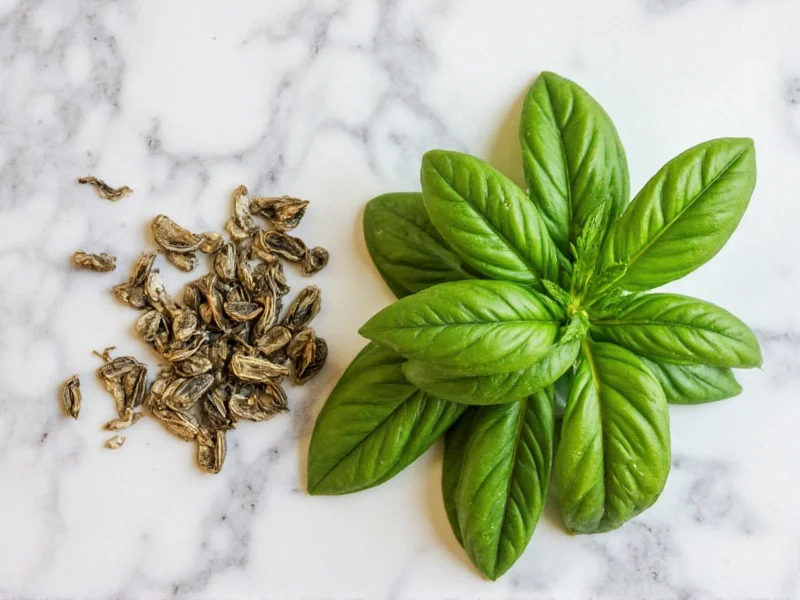 Dried Basil to Fresh Basil Conversion: Exact Measurements
