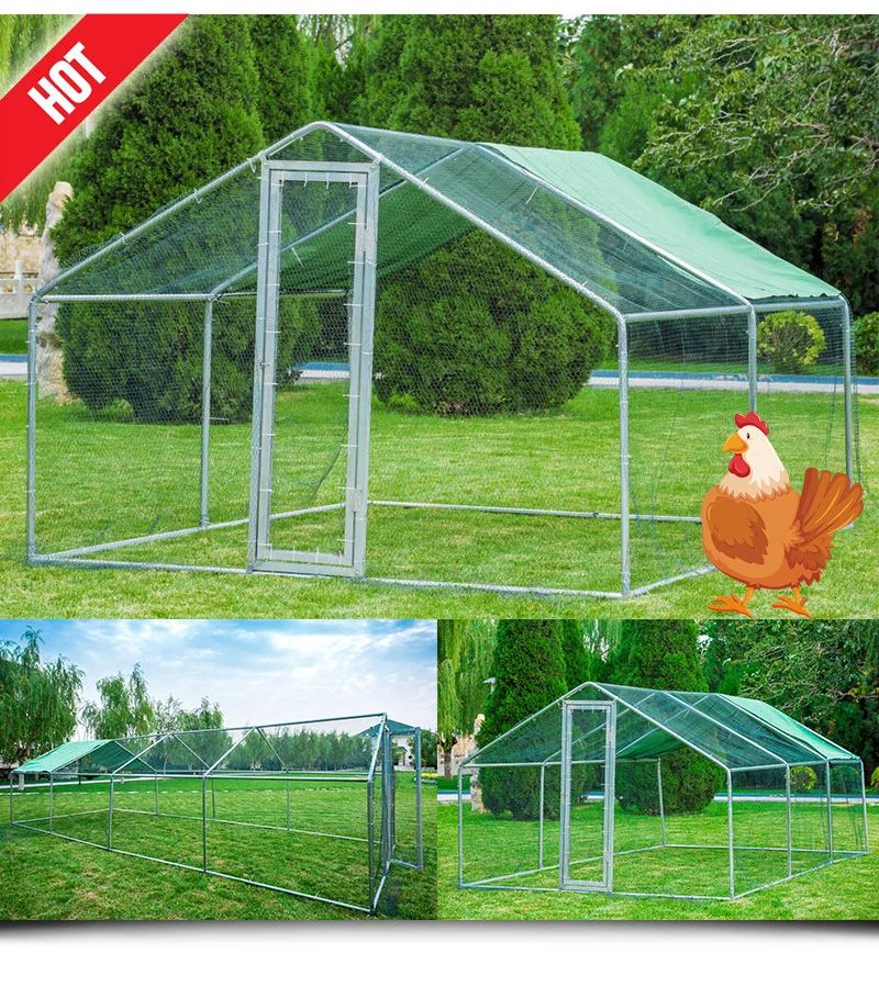 Galvanized Frame Chicken Cage And Poultry Cage With Large Door For Easy ...