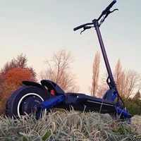 

2020 Products 10 inch in Stock Kaabo Mantis Pro Waterproof Folding Adult Kick Mobility Electric Scooter