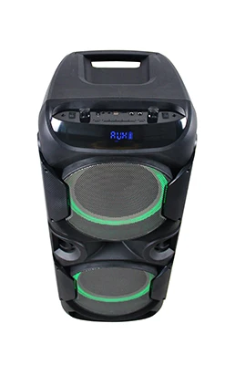 big power double 12 inch BT audio outdoor battery speaker - ANKUX.COM