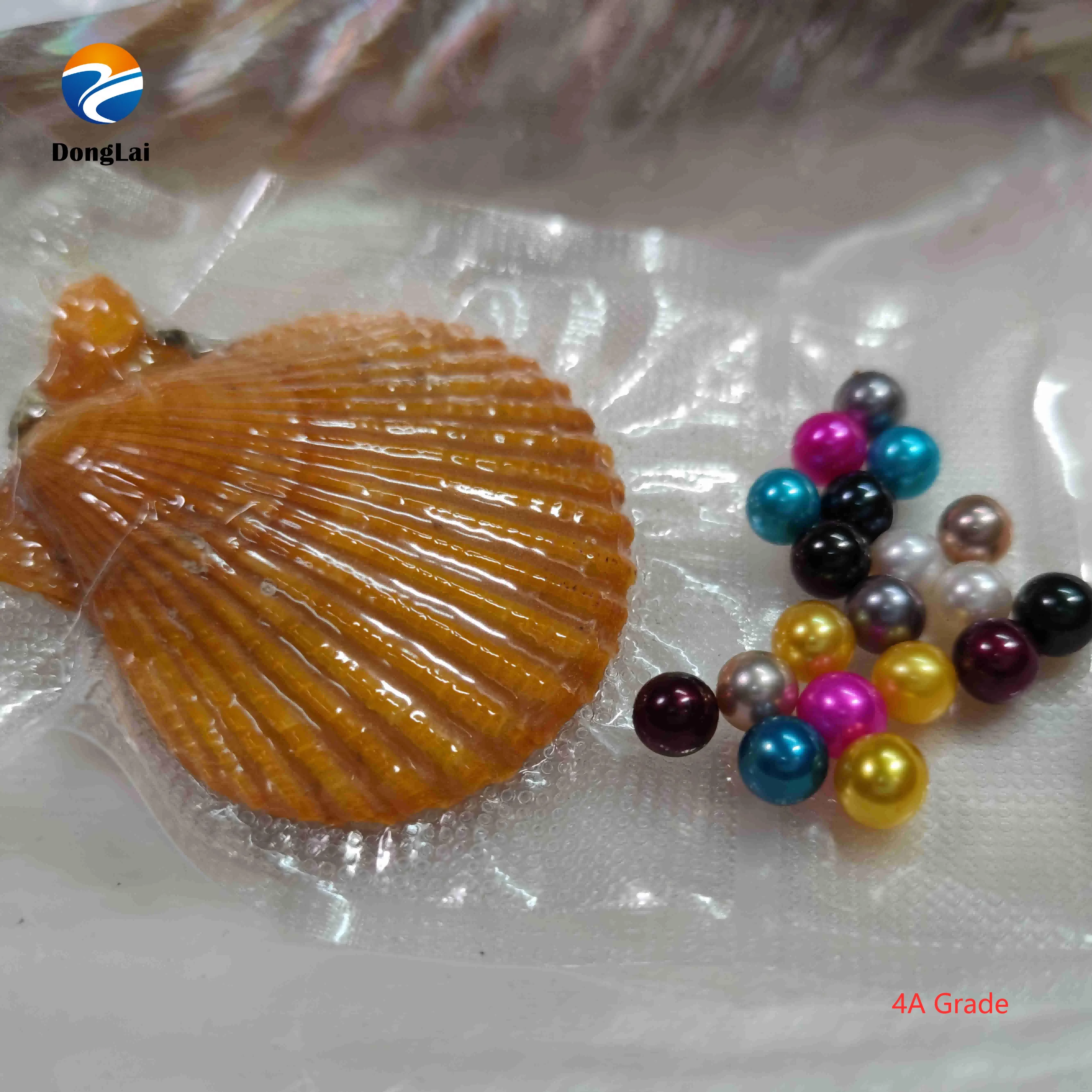 

Bulk Wholesale 6-8mm Vacuum-packed MIXED COLORS Akoya Pearl Oysters for Pearl Party, White color