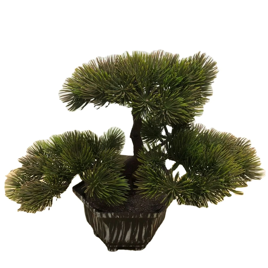 

Factory supply China sale decorative green plant grass bonsai, Customized