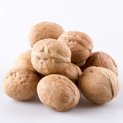 
Wholesale 100% Nutritious healthy Chinese thin shell walnut 