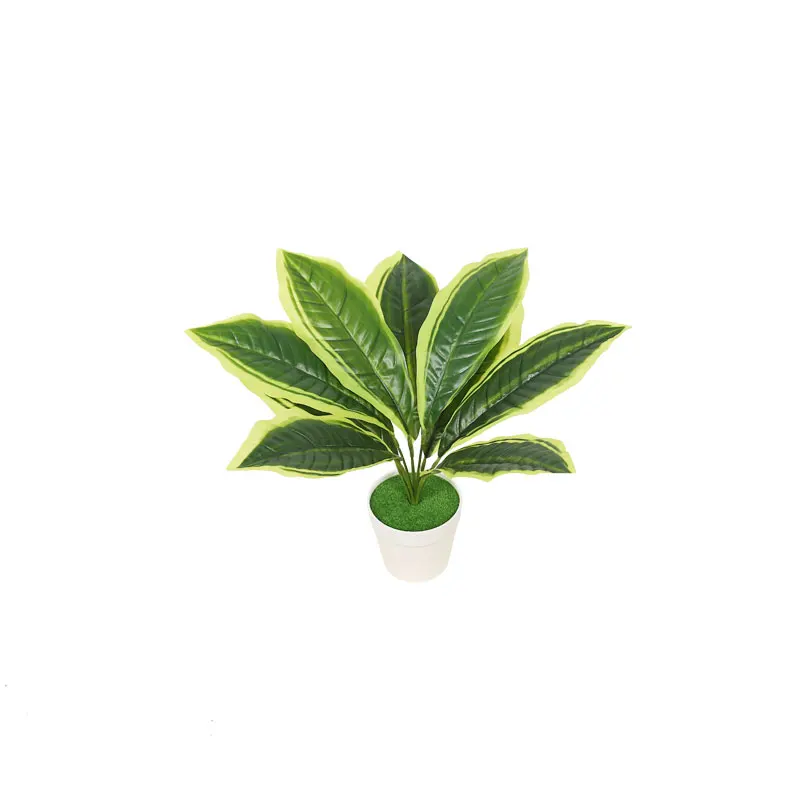 

Wholesale Tropical Artificial Plant Office Building Living Room Home Decoration