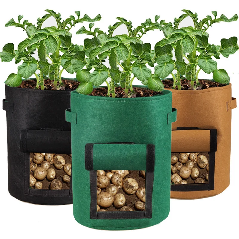 

Amazon Felt Potato Planting Sack Strawberry Flowerpot Tomato Peanut Plant grow bags