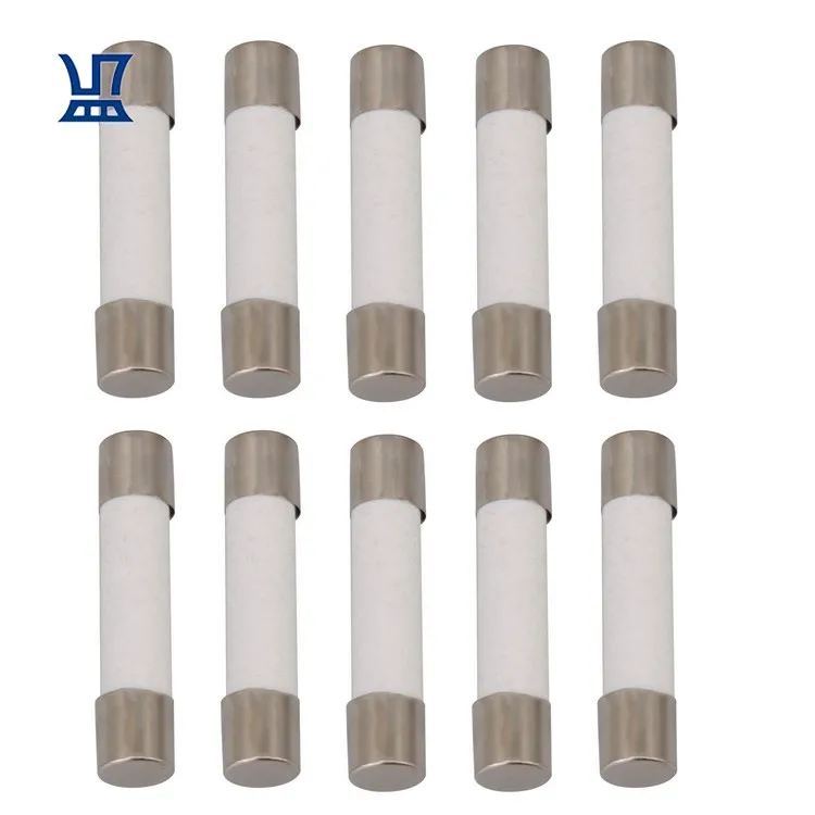 

BQLZR Free Shipping 10 Pieces 30A 250V Universal Microwave Fuse Ceramic Fuse Cartridge Fuse, White & silver
