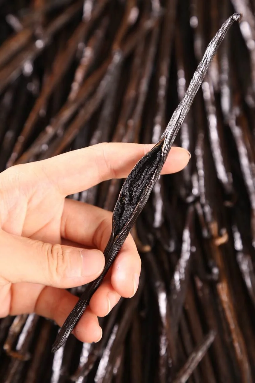 
All Natural 14-18cm A Grade Madagascar Vanilla Beans with KG Price 