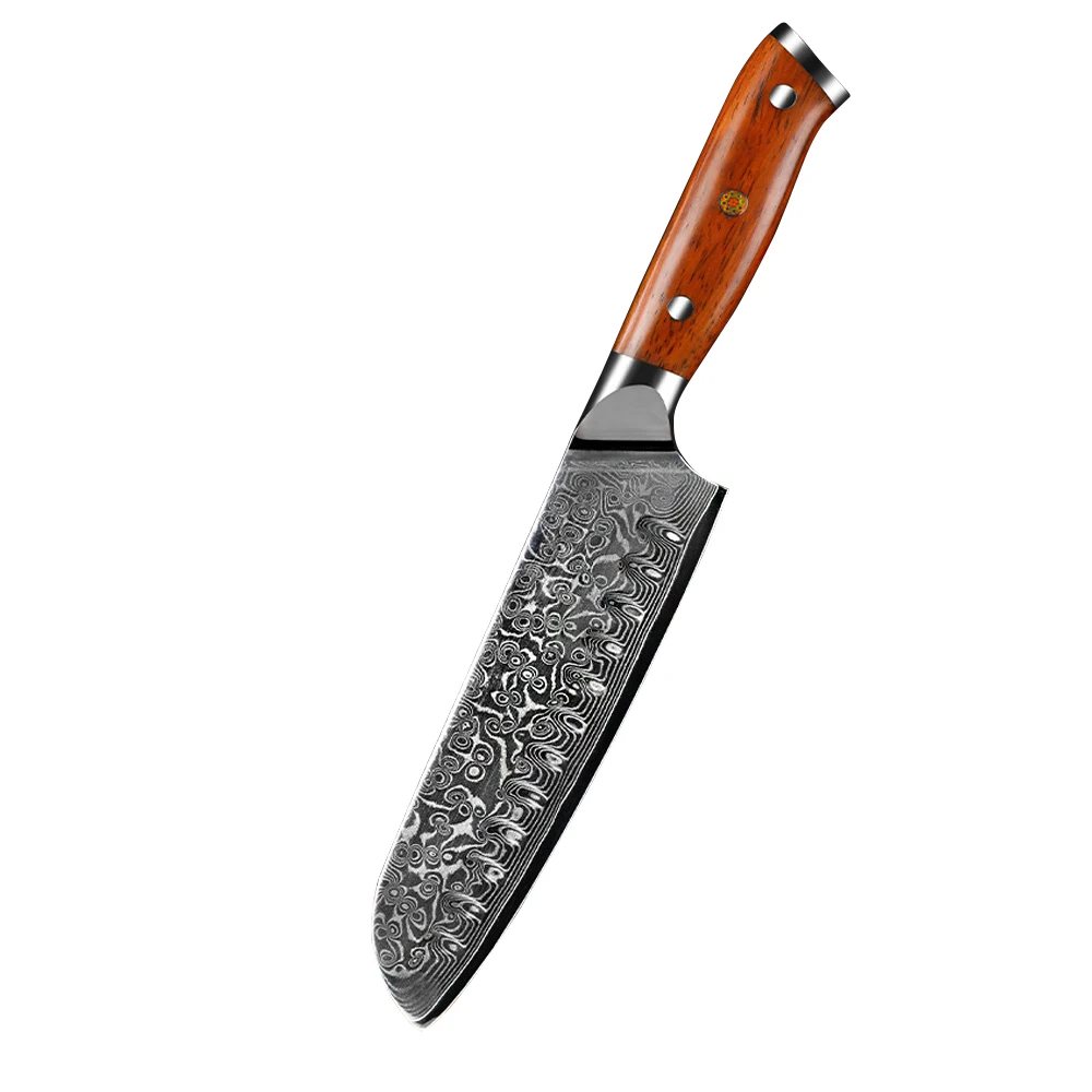 

Damascus Steel Western Chef Chef's knife Slicing knife VG10 steel knife