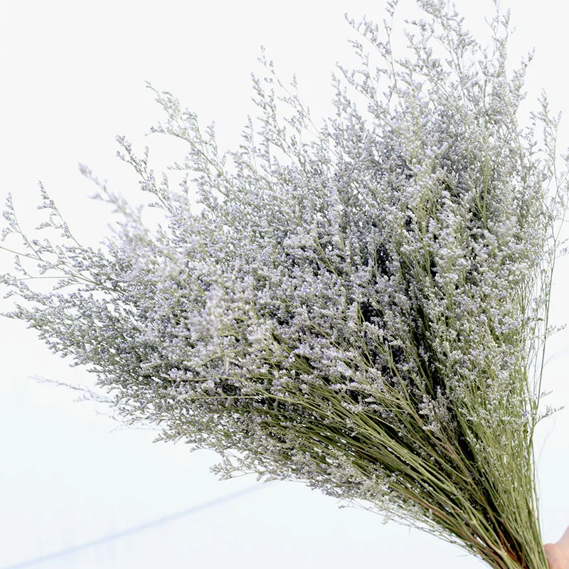 

Factory Wholesale dried Natural Dried Lover's grass for wedding home party decor