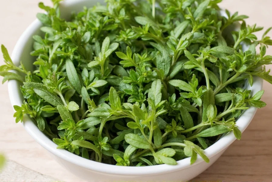 Spanish Oregano Flowers