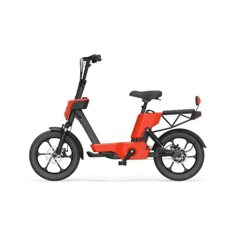 

USA Europe DDP shipping two seat pedal assist electric bike with pedal assist