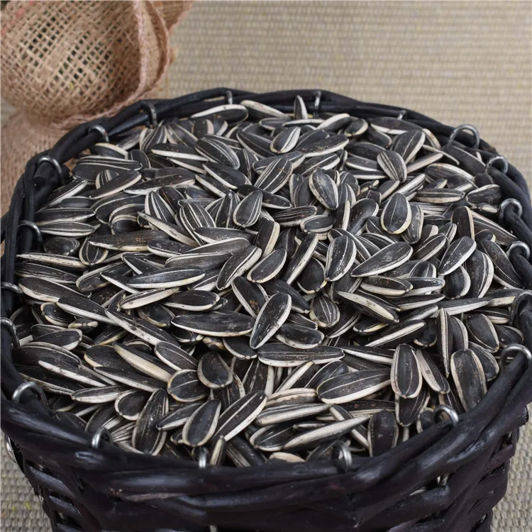 
ouji pure 361 ukraine sunflower seed growing 