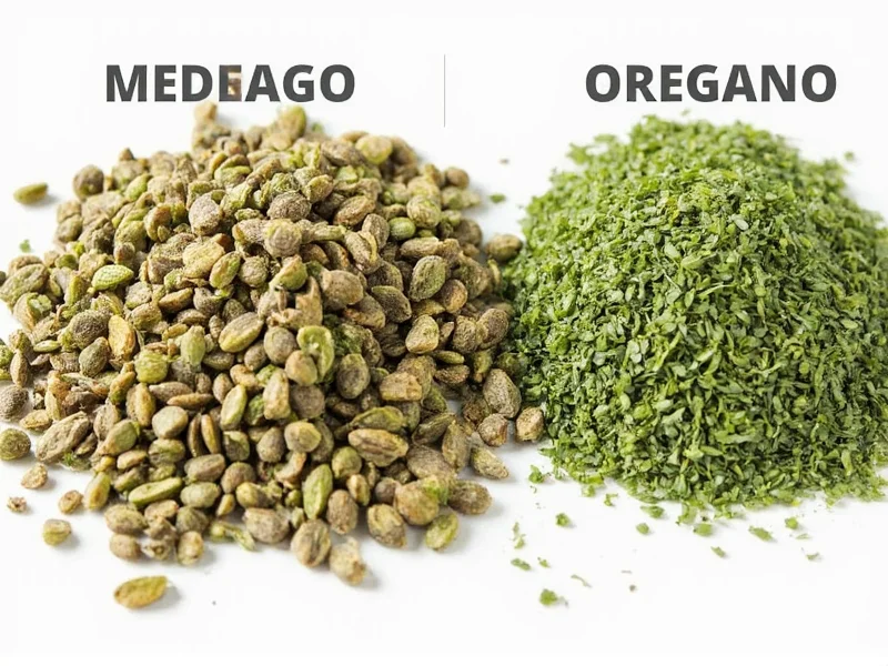Mexican Oregano vs Oregano: Key Differences Explained