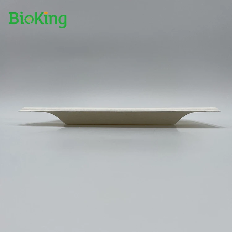 

BioKing The new listing bagasse 3 compartment back 9 disposable tableware sugarcane pulp paper 7 inch round plates, Bleached;unbleached