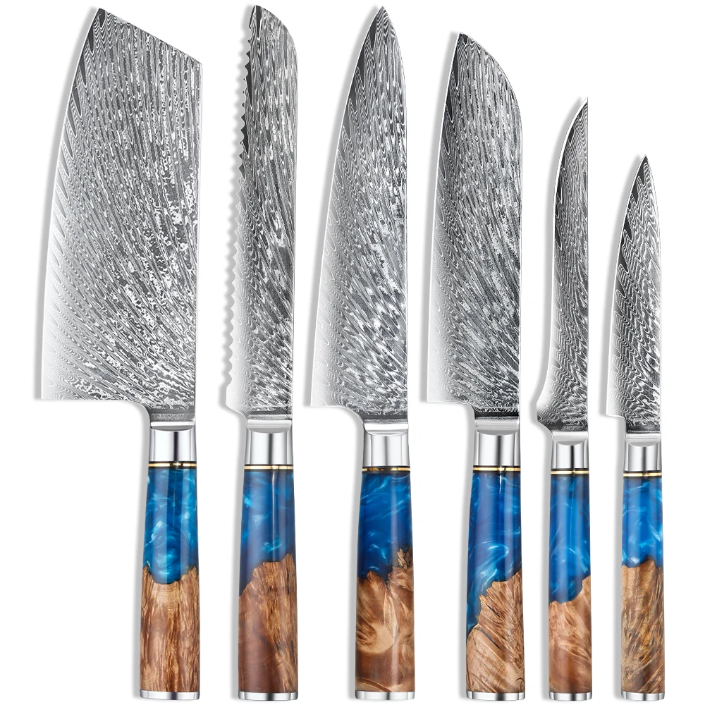 

Advanced VG10 67Layers Damascus Steel Knife Set Resin Handle OEM Welcome