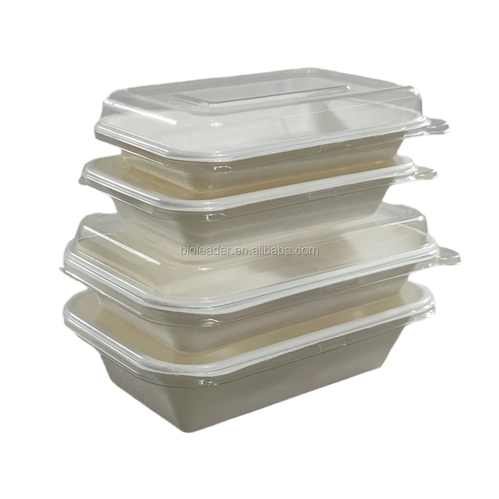 

Biodegradable Disposable Sugarcane Hot Fast Food Salad Tray Salad Container with Transparent Lid