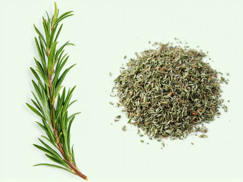 Fresh vs Dried Rosemary: Key Differences & Best Uses