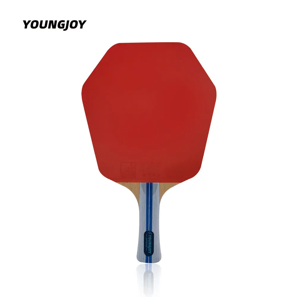 

Youngjoy sports new hexagon shape diamond carbon pingpong bat with large area table tennis blade