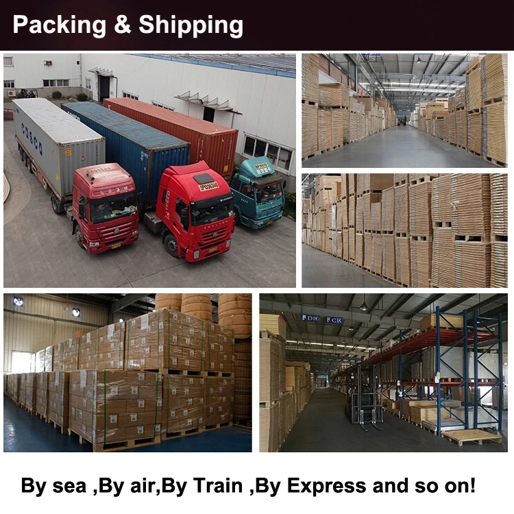 300gsm shimmer plain priting paper