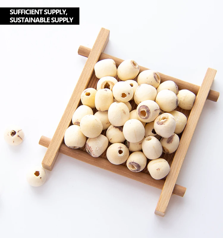 
High quality dried white lotus seed health product herbal medicine 