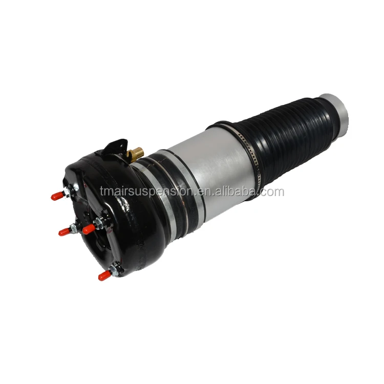 rear air spring.jpg