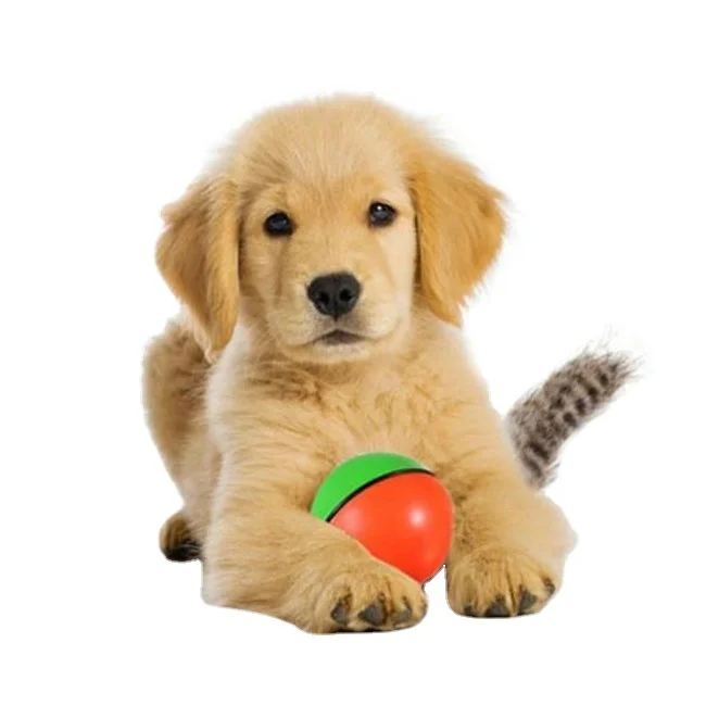 

Pet Rolling Motor Ball Weasel Ferret Chaser Fun Moving Jumping Kid Dog Toys