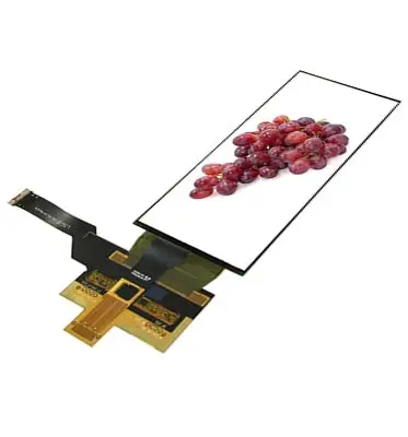 5.1 inch flexible screen.jpg