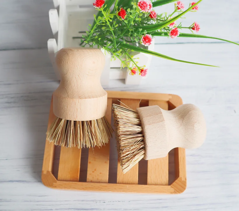 eco dish brush.png