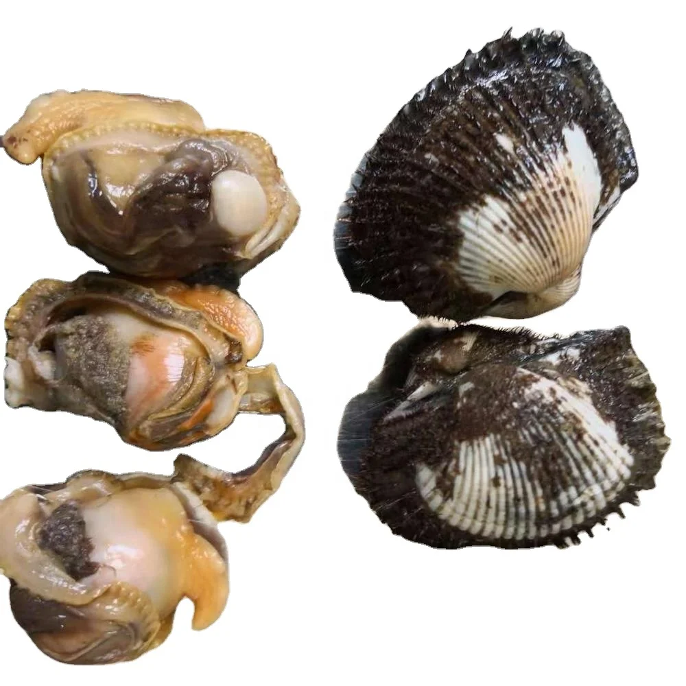 
Good Sale Seafood Shell Fish Frozen Blood Clams Meat 