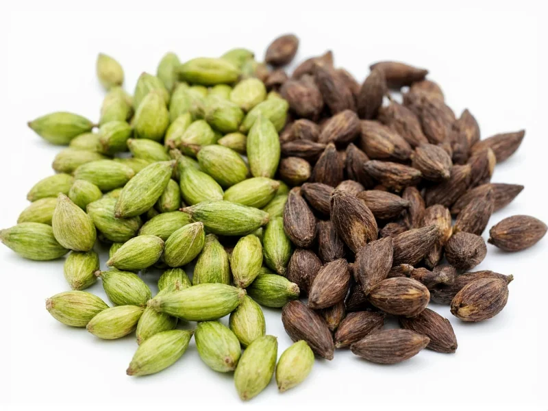 Green vs Black Cardamom: Key Differences Explained
