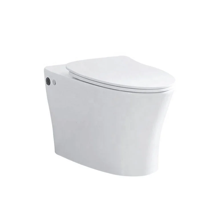 中国小浴室双冲马桶一件厕所