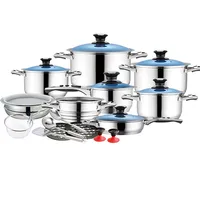 

High Quality 23Pcs Stainless Steel Casserole Set with Blue Cover