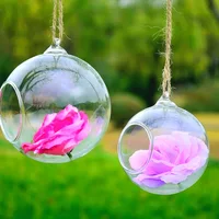 

High quality outdoor indoor different types glass hanging flower pot planters