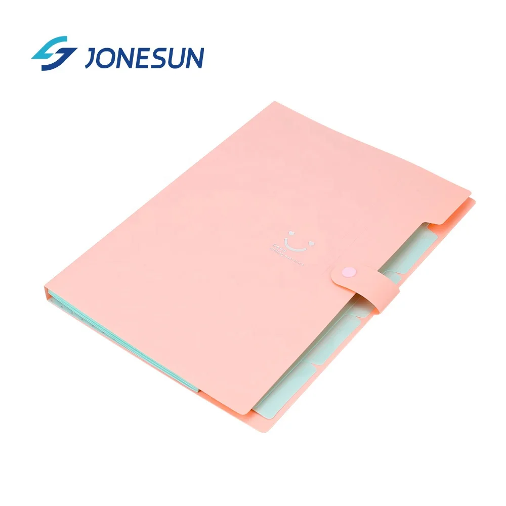 
school stationery candy color A4 size PP plastic 5 pockets expanding file folder document organizer 