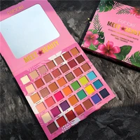 

MEW Makeup Multi 42 Colors Pigment Pressed Matte Shimmer Eyeshadow Pallets Blush Palette OF Febble Shadows