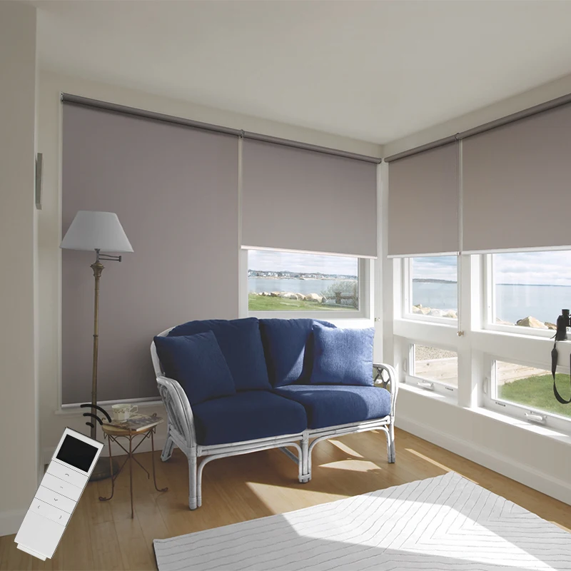 

AC Motor Window Horizontal Blinds Hot Sale Blackout Motorised Electric Mechanical Roller Blinds