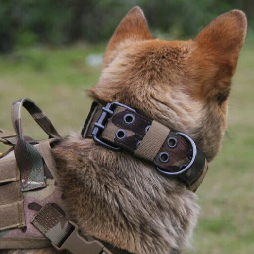 

Oem custom personalized logo pet accessories police dog patrol dog bloodhound vest collars, Customized