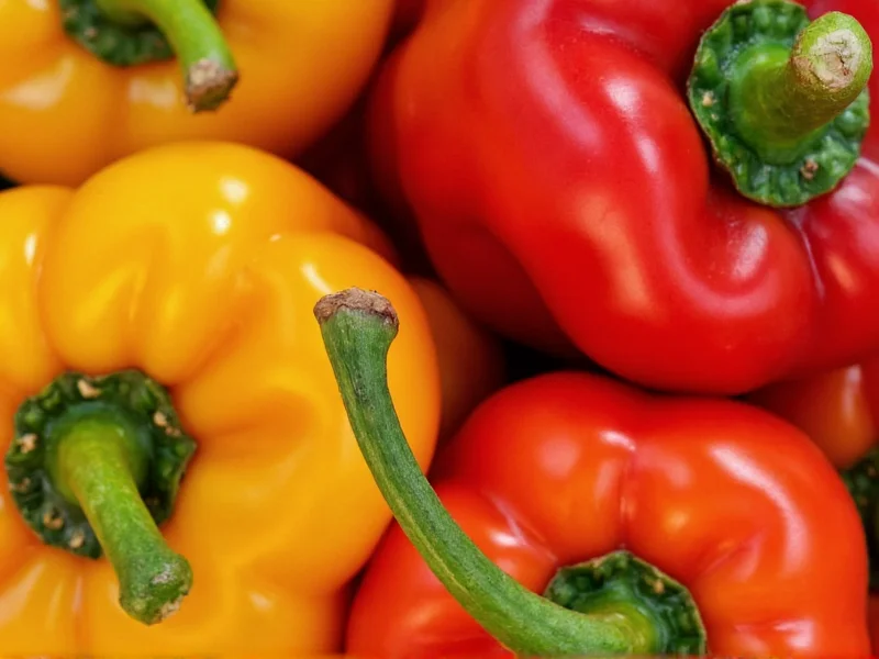 Serrano vs Habanero: Heat, Flavor & Usage Differences