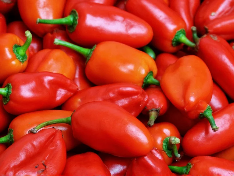 Are Anaheim Peppers Spicy? Mild Heat Level Explained