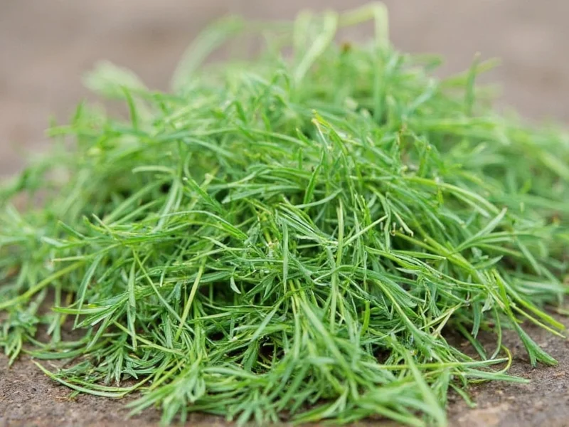Dill Weed vs Dill Seed: Key Differences Explained