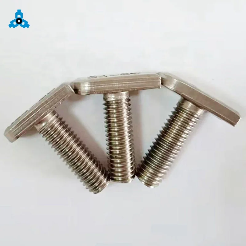 
T Bolt Stainless Steel Customized Forged Flat Rectangle Hammer Square Head Bolt OEM Stock Support 
