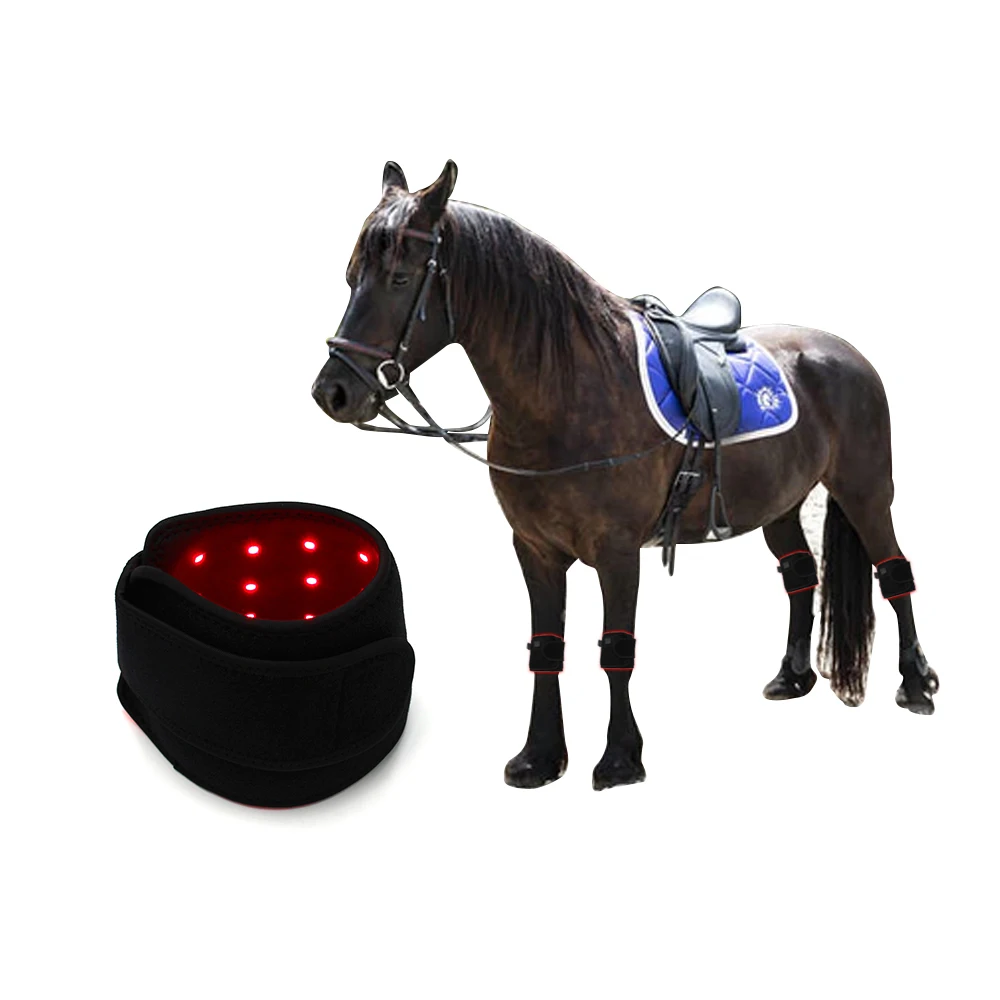 

Red Light Therapy 660nm 850nm Horses Near Infrared Hoof Pain Relief