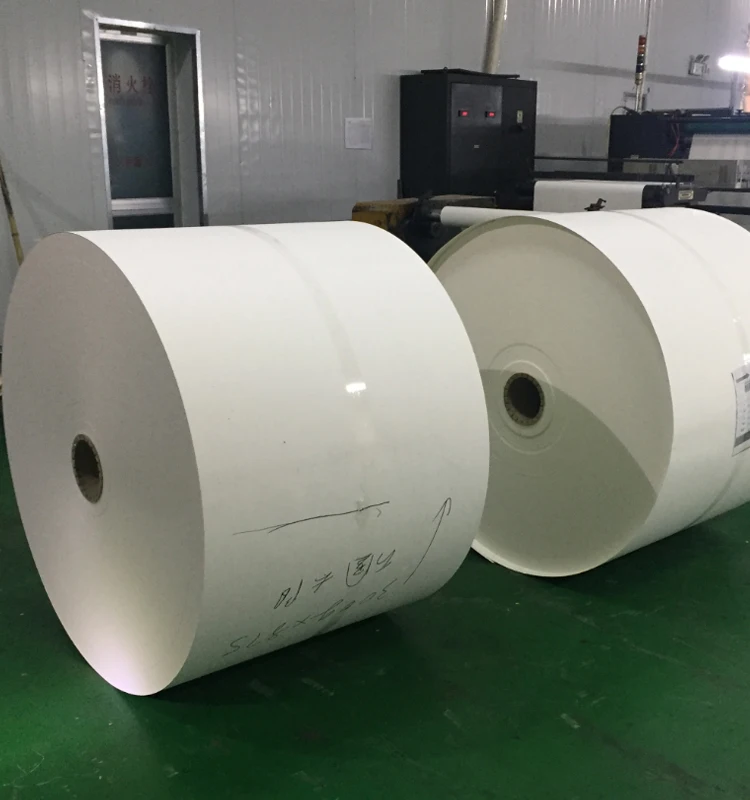 
100% Disposable Biodegradable PE Paper Roll/Sheet/Fan Offset/Flexo Printing Pe Coated Food Packaging Paper 
