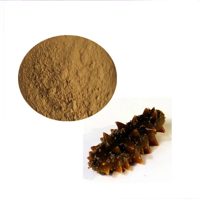 Sea Cucumber Natural Extract Sea Cucumber Peptide Powder Hot Sell Sea