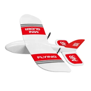 2CH Remote Control EPP Foam Micro RC Glider