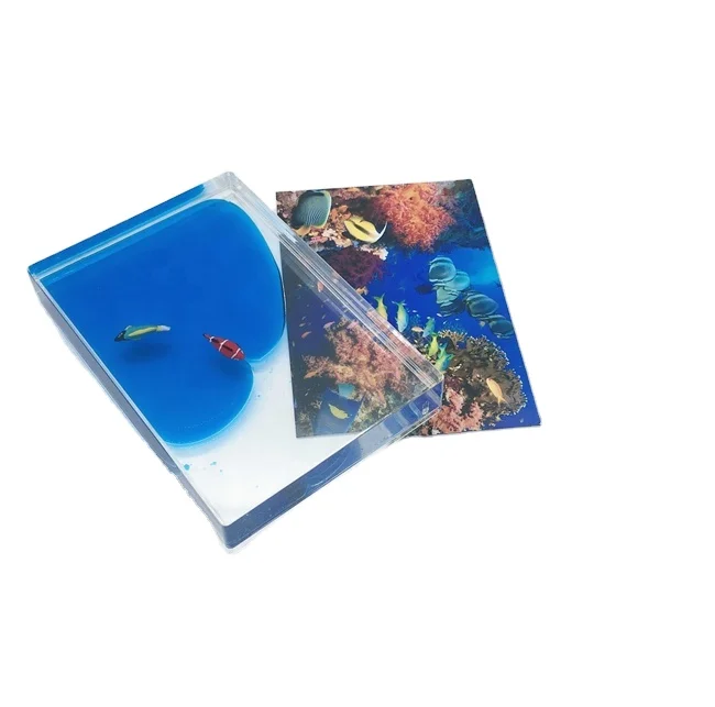 

4R blue aqua liquid picture photo frame with floating clownfish and surgeonfish 3D floater