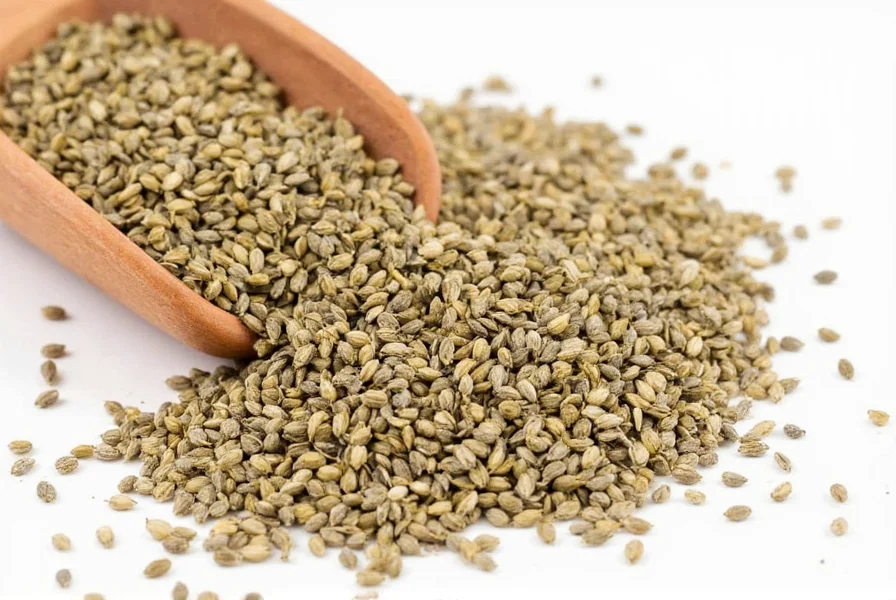 Close-up view of whole coriander seeds showing their round shape and beige color